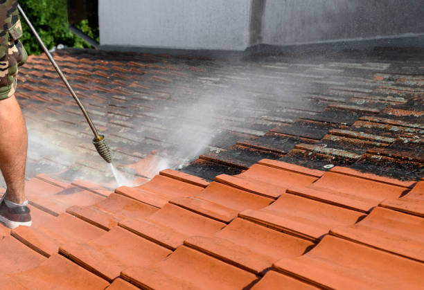 Why Choose Our Certified Pressure Washing Experts for Your Project Needs in Trinity, TX?