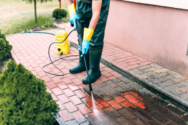 Best Roof Power Washing Services  in Trinity, TX