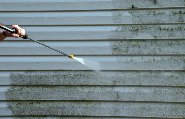 Best Concrete Pressure Washing  in Trinity, TX