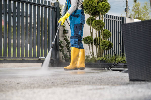 Best Roof Pressure Washing  in Trinity, TX