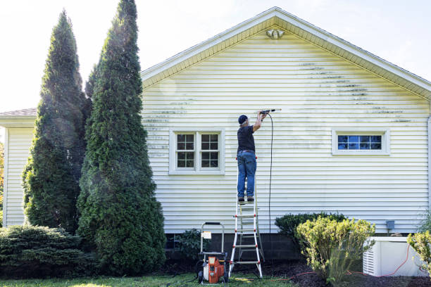 Best Local Pressure Washing Services  in Trinity, TX