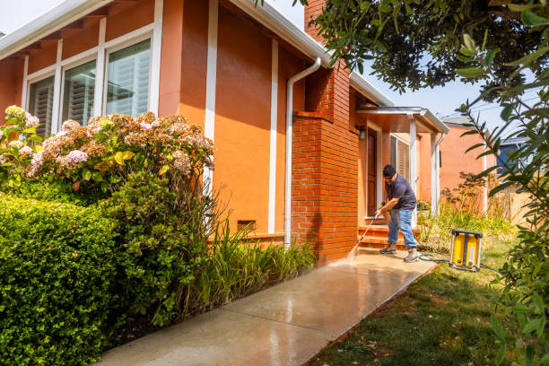  Trinity, TX Pressure Washing Pros