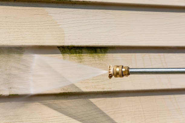 Best House Pressure Washing  in Trinity, TX